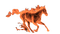 fire horse by nataliplus - png grátis Gif Animado