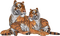 Tijger panter - nemokama png animuotas GIF