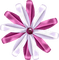 Kaz_Creations Deco Flower Ribbons Bows  Colours - png ฟรี GIF แบบเคลื่อนไหว