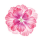 pink flower Bb2 - png grátis Gif Animado