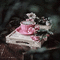 dolceluna spring summer pink vintage background - 無料のアニメーション GIF アニメーションGIF