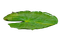 Leaf - безплатен png анимиран GIF