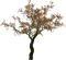 arbre - PNG gratuit GIF animé