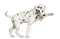 dog - Nitsa - zadarmo png animovaný GIF