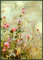 fleur - Безплатен анимиран GIF анимиран GIF