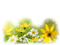 primavera - png gratis GIF animado