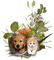 chien et   chat - png grátis Gif Animado