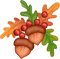 acorns Bb2 - безплатен png анимиран GIF