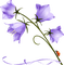 Glockenblume - безплатен png анимиран GIF