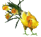 flowers gif katrin - Nemokamas animacinis gif animuotas GIF