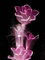 Roses Animées - Δωρεάν κινούμενο GIF κινούμενο GIF
