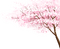 cherry tree Bb2 - 免费PNG 动画 GIF