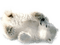 Kaz_Creations Animals Animal Polar Bears - zadarmo png animovaný GIF
