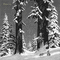 Y.A.M._Winter background black-white - Безплатен анимиран GIF анимиран GIF