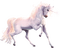 licorne - ücretsiz png animasyonlu GIF