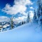 winter  background by nataliplus - kostenlos png Animiertes GIF