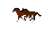 кони - Bezmaksas animēts GIF animēts GIF