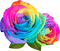 Kaz_Creations Flowers - PNG gratuit GIF animé