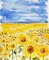 loly33 tournesol aquarelle - Free PNG Animated GIF