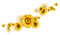 minou-yellow-flowers - PNG gratuit GIF animé