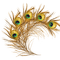Peacock feathers - бесплатно png анимированный гифка