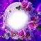 pink purple rose frame🌹🌹 deco pink violet cadre rose