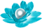 Flower.Pearl.Blue.White - png gratuito GIF animata
