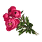 Peony Bouquet - png gratis GIF animado