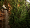 liikeanimaatio, effect, luonto, nature - Bezmaksas animēts GIF animēts GIF
