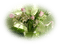patymirabelle fleurs,muguet - δωρεάν png κινούμενο GIF