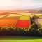 Fields - 免费PNG 动画 GIF