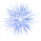 Kaz_Creations Colours Firework Fireworks - Free PNG Animated GIF