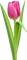 Kaz_Creations Deco Flowers Tulips Flower - zdarma png animovaný GIF