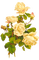 off white flower rose illustration painting - zadarmo png animovaný GIF