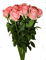 kwiat - png gratuito GIF animata