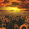 Rena Sonnenblumen Hintergrund Glitter Sunrise - Nemokamas animacinis gif animuotas GIF