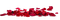 Red.Petals.Pétalos.floor.Victoriabea - gratis png animeret GIF