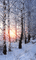 winter - Ingyenes animált GIF animált GIF
