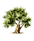 arbre - png gratis GIF animado