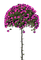 Kaz_Creations Deco Flowers Flower Colours Trees Tree - ingyenes png animált GIF