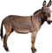 burro - bezmaksas png animēts GIF