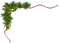 kikkapink christmas deco winter green border - nemokama png animuotas GIF