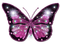 Y.A.M._Summer Flowers Decor butterflies - png grátis Gif Animado