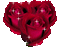 Rose - GIF animate gratis GIF animata
