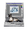 Cat computer - Gratis geanimeerde GIF geanimeerde GIF