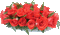 róże - Darmowy animowany GIF animowany gif