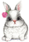 Animated Cute Bunny Rabbit GIF