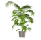 plante verte - PNG gratuit GIF animé