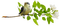 птичка - Free PNG Animated GIF