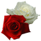 flowers katrin - бесплатно png анимированный гифка